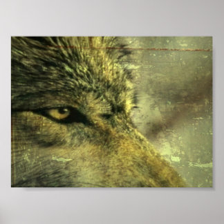 Wolf Poster