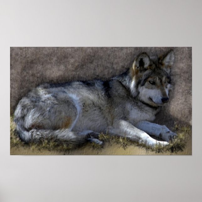 Wolf Poster (Vorne)
