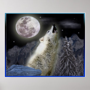 Wolf-Poster Poster
