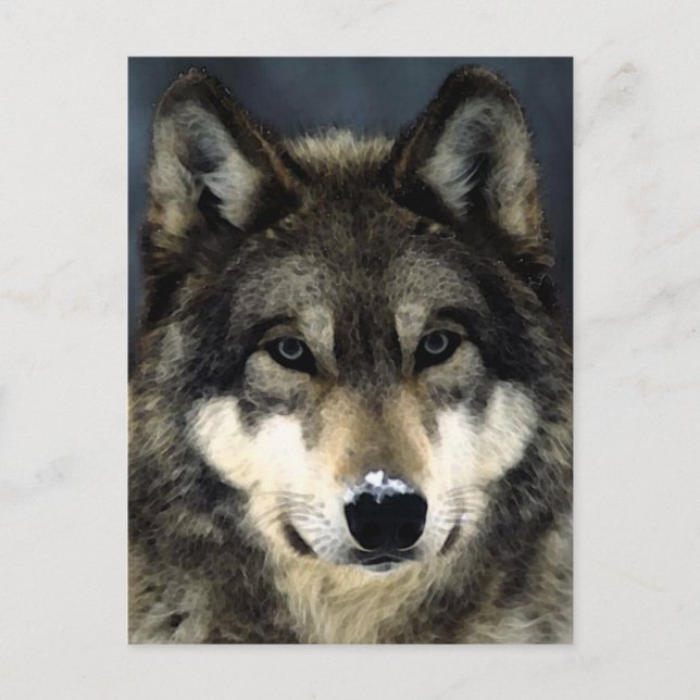 Wolf Postkarte (Vorderseite)