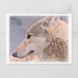 Wolf Postkarte