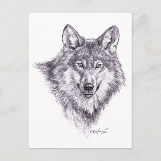 Wolf Postkarte (Vorderseite)