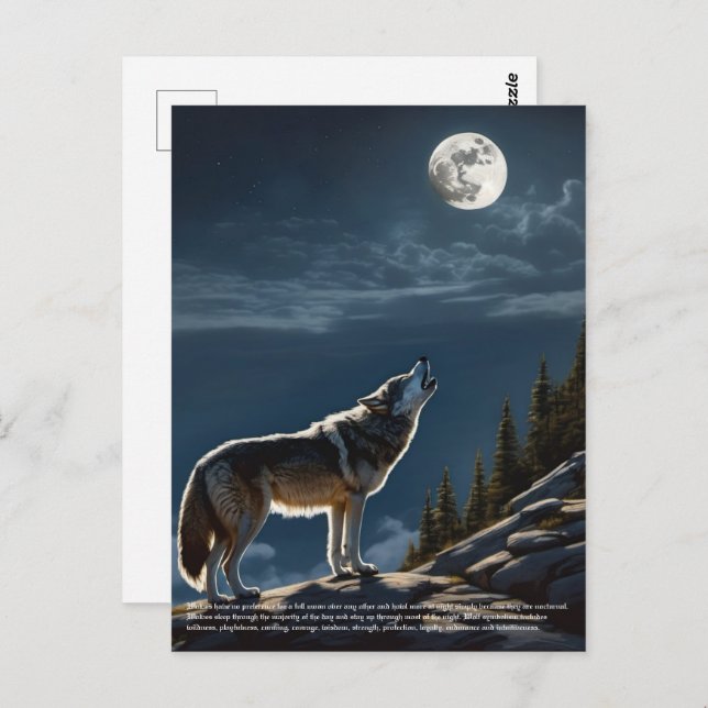 Wolf Postkarte (Vorne/Hinten)