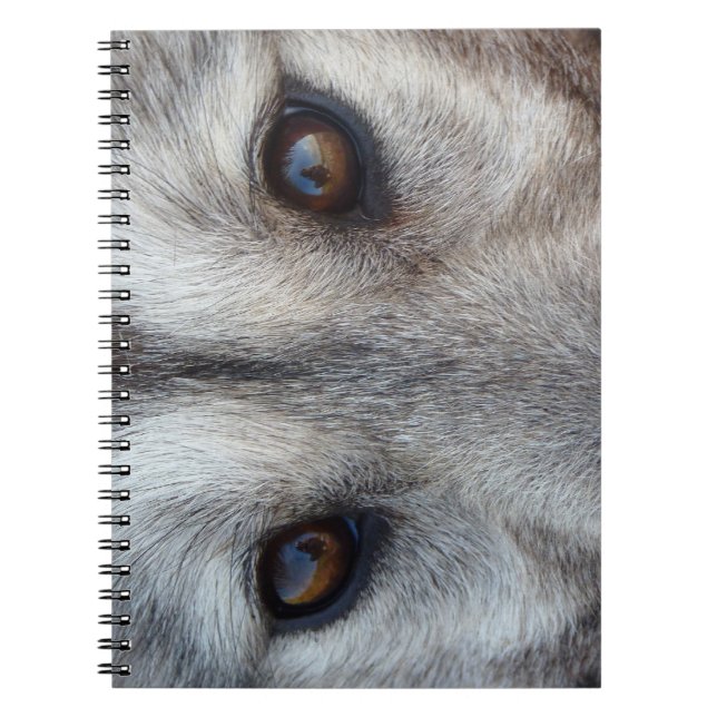 Wolf Pup Notebook Husky / Wolf Geschenke & Bücher (Vorderseite)