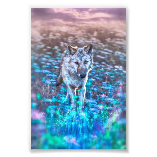 Wolf Puppy LONG MAG IHRE INNOZENZREGIERUNG Fotodruck (Vorne)