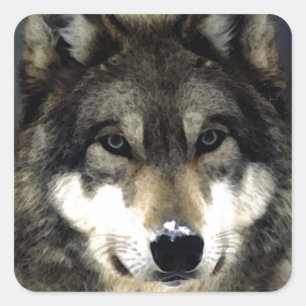 Wolf Quadratischer Aufkleber