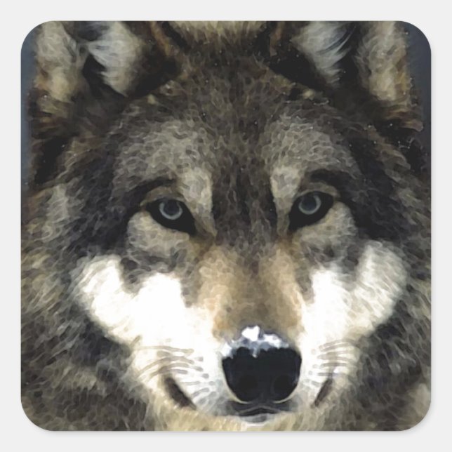 Wolf Quadratischer Aufkleber (Vorderseite)