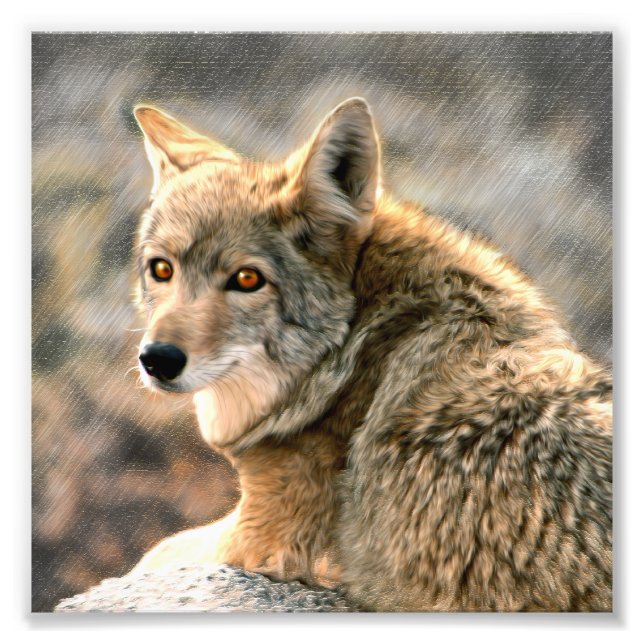 Wolf Rain Grafik Fotodruck (Vorne)