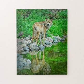 Wolf-Reflektion, Grenzgewässer, Minnesota