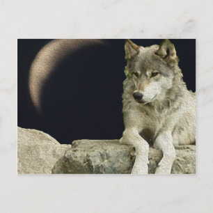 Wolf Relaxing Postkarte