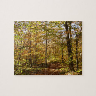 Wolf Rocks Trail im Herbst Pennsylvania Landschaft