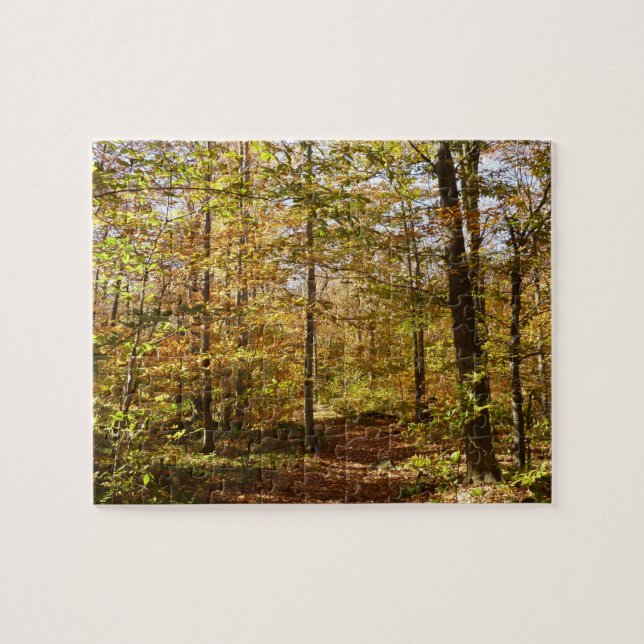 Wolf Rocks Trail im Herbst Pennsylvania Landschaft (Horizontal)