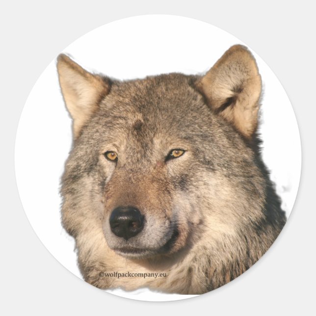 Wolf Runder Aufkleber (Vorderseite)