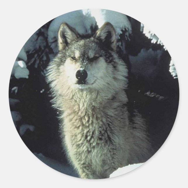 Wolf Runder Aufkleber (Vorderseite)