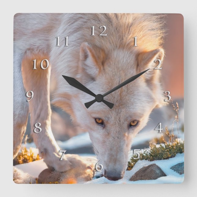 WOLF SNOW DRIFTER QUADRATISCHE WANDUHR (Vorderseite)