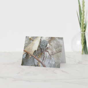 Wolf Spider with Babies on Back Note Card Karte