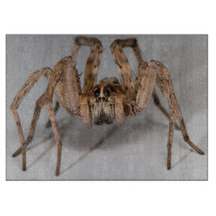Wolf-Spinne Schneidebrett