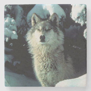 Wolf Steinuntersetzer