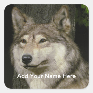 Wolf Sticker