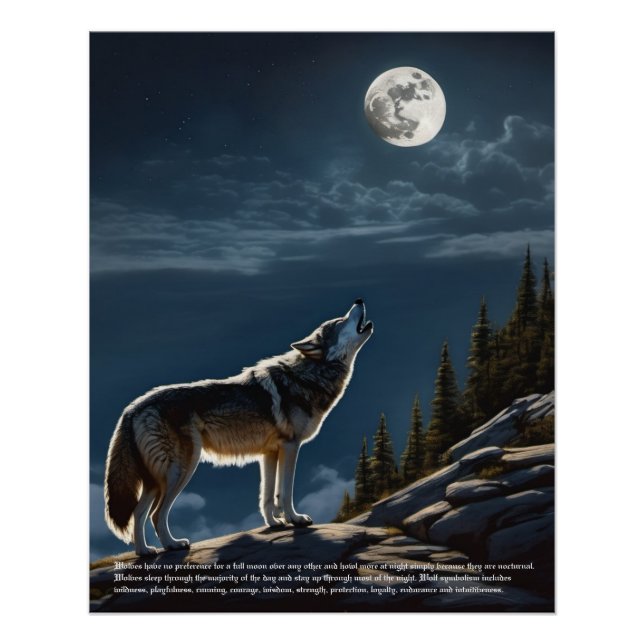Wolf Symbolismus Poster (Vorderseite)
