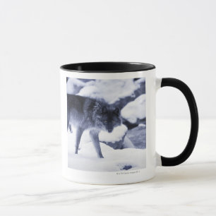 Wolf Tasse