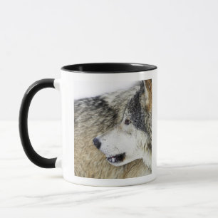 Wolf Tasse