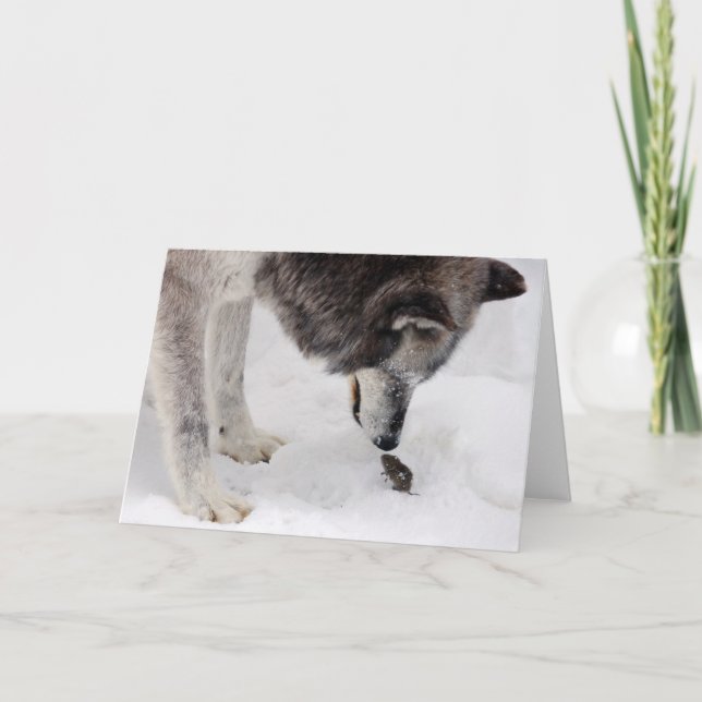 Wolf-u. Mäusekarte Karte (Vorderseite)