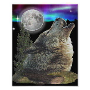 Wolf und Mond Fotodruck