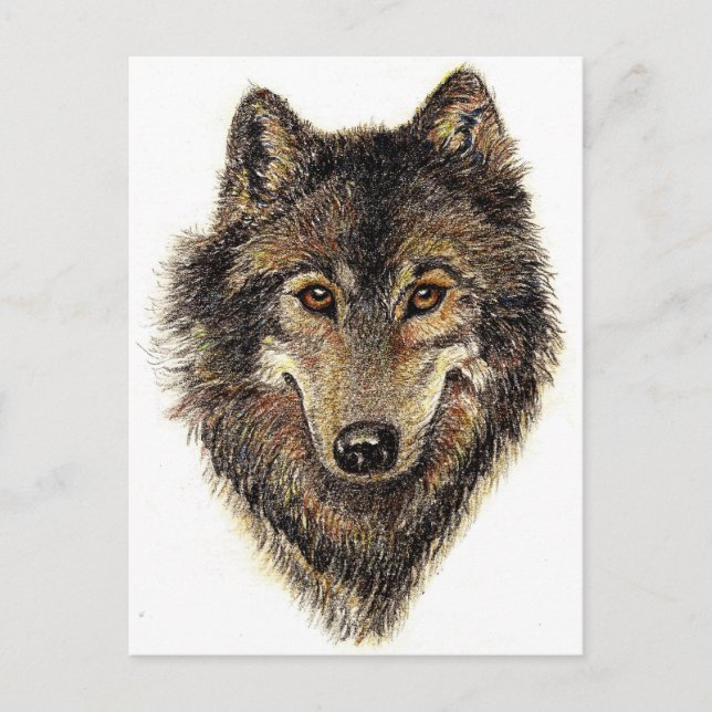 Wolf- und Packquote - Tiersammlung Postkarte (Vorderseite)
