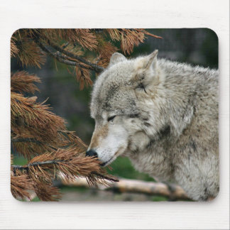 Wolf vermitteln mousepad