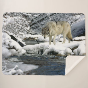 WOLF von STREAM Sherpadecke