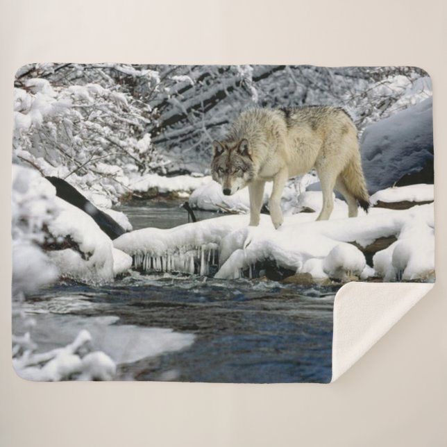WOLF von STREAM Sherpadecke (Vorderseite (Horizontal))