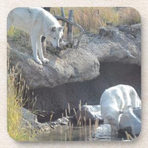 Wolf-Waldnatur-Land-FriedensLiebe-Tier Getränkeuntersetzer
