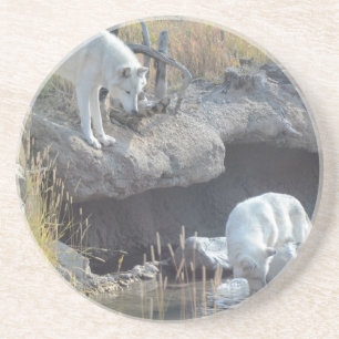 Wolf-Waldnatur-Land-FriedensLiebe-Tier Sandstein Untersetzer