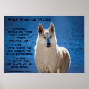 Wolf Warrior Poster