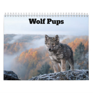 Wolf Welpen 2027 Kalender