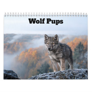 Wolf Welpen 2027 Kalender