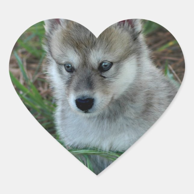Wolf-Welpen-Aufkleber Herz-Aufkleber (Vorderseite)