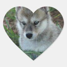 Wolf-Welpen-Aufkleber