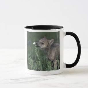 Wolf-Welpen-SchnüffelngebirgsWildblume Tasse