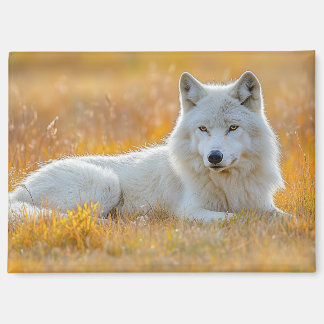 Wolf Wild Animal Loving Portrait Magnet