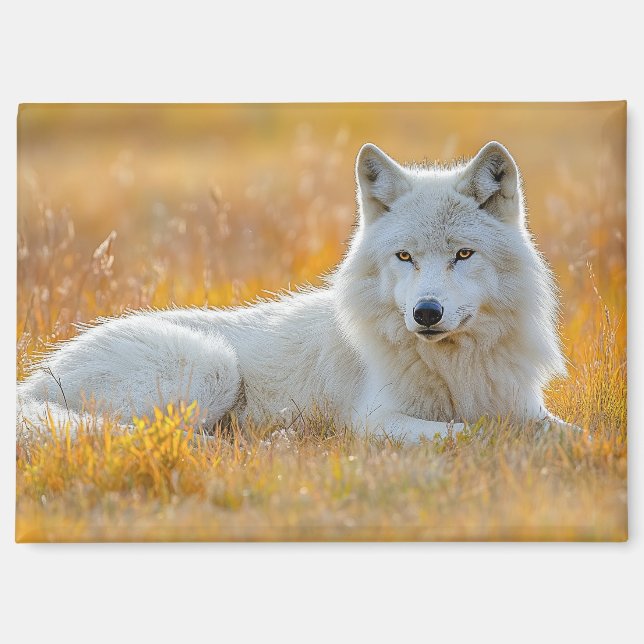 Wolf Wild Animal Loving Portrait Magnet (Vorderseite)