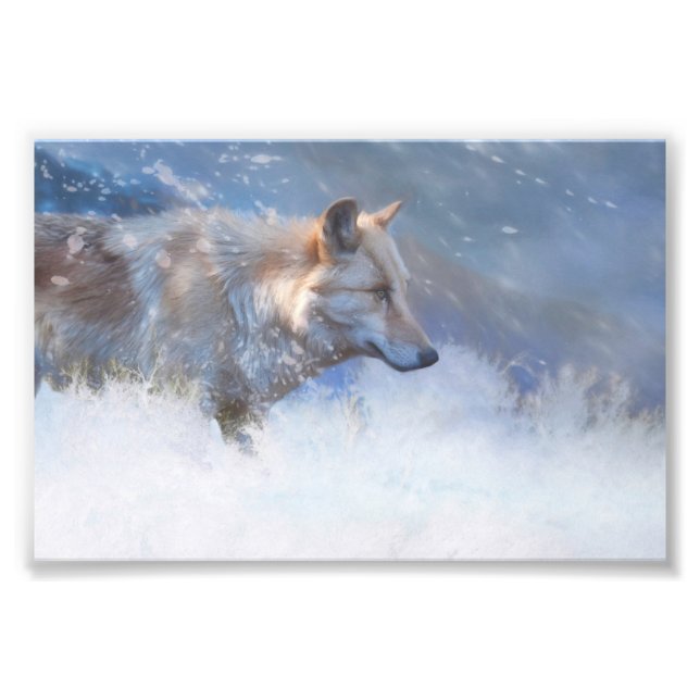 WOLF WINTERGEBIETE FOTODRUCK (Vorne)