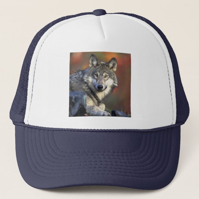 Wolf Wisdom Hat Truckerkappe (Vorderseite)