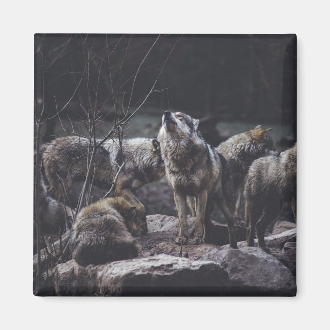Wolf Wolf Wolf Magnet (Vorne)