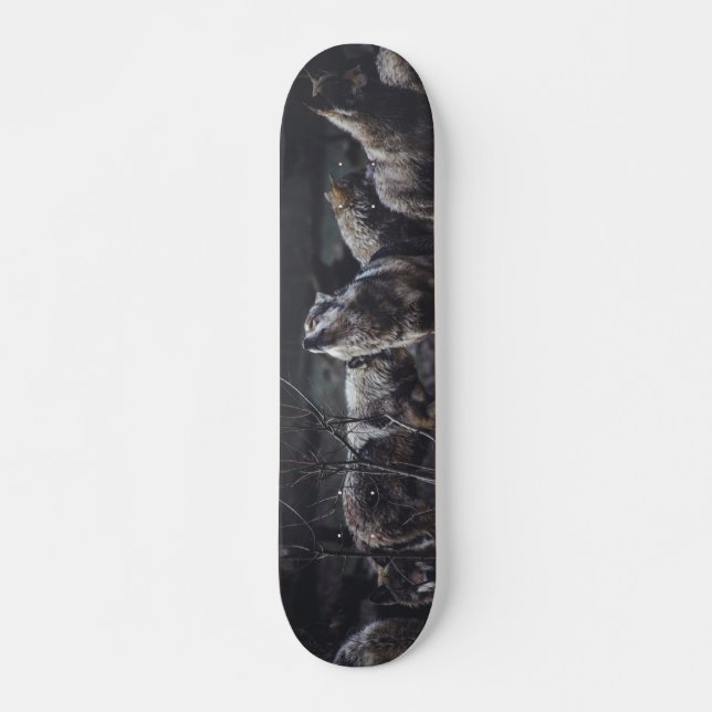 Wolf-Wolf-Wolf Skateboard (Vorne)