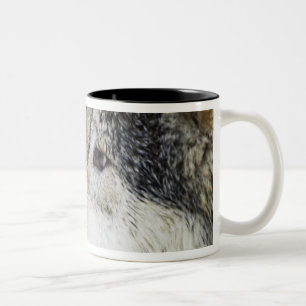 Wolf Zweifarbige Tasse