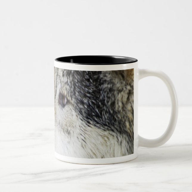 Wolf Zweifarbige Tasse (Rechts)