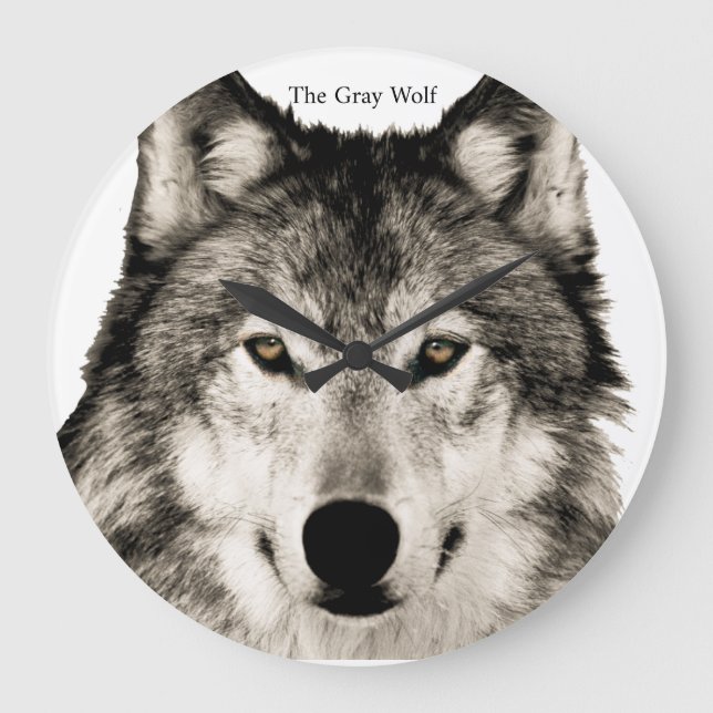 Wolfbild für die Acrylwand Große Wanduhr (Vorderseite)
