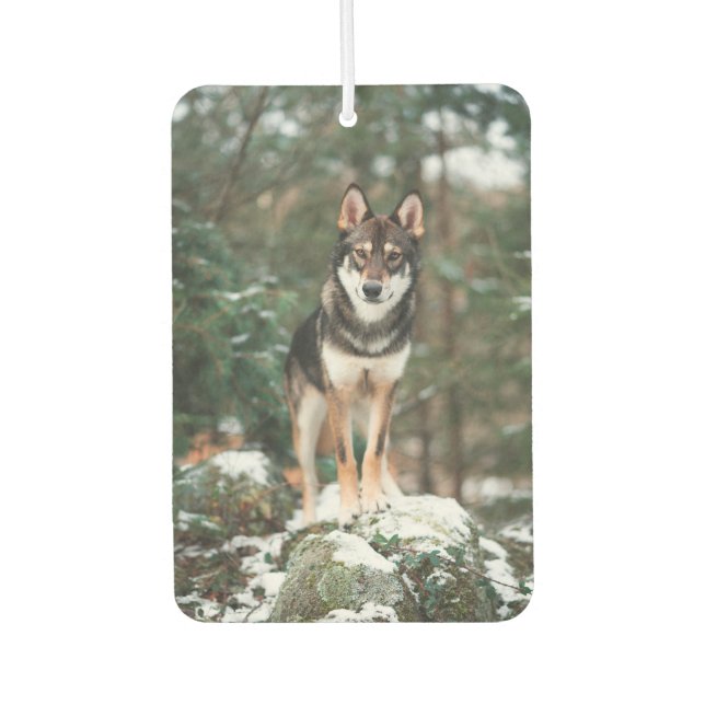 Wolfdog Autolufterfrischer (Vorderseite)